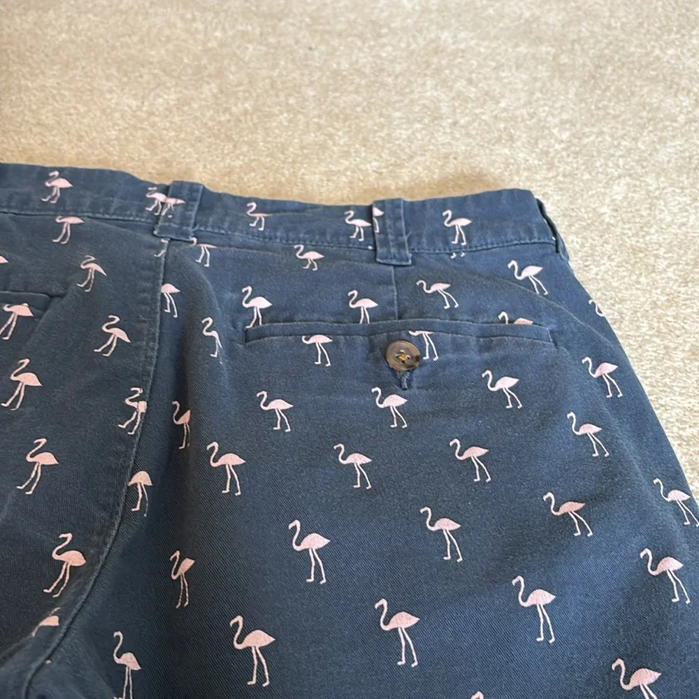 J. Crew Shorts